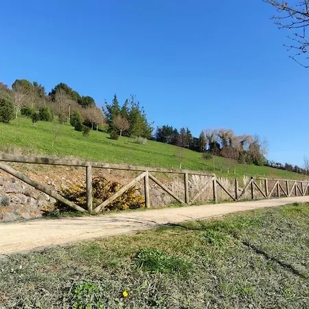 Appartement Atico Mirador Del Naranco, Parking Gratuito, Wifi, Zona Residencial *