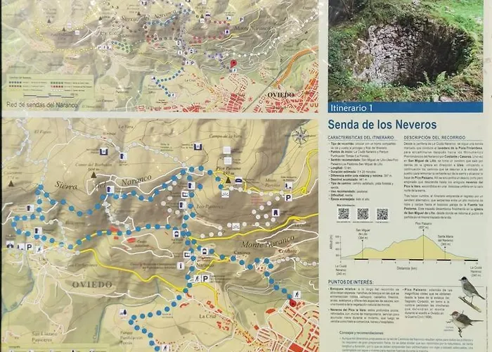 ático Mirador Del Naranco, Parking Gratuito, Wifi, Zona Residencial Appartamento